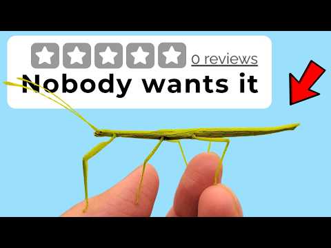 I Ordered 0 Review Pets Online And Raised Them For 300 Days