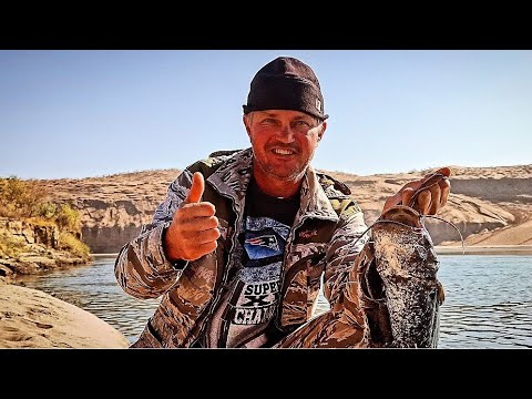 Рыбалка на Сырдарье ,о чем мечтал то и поймал.