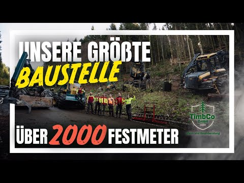 Über 2000 Festmeter Holz! Extreme Holzernte am Stohren – Action PUR - TimbCo GmbH | Dokumentation
