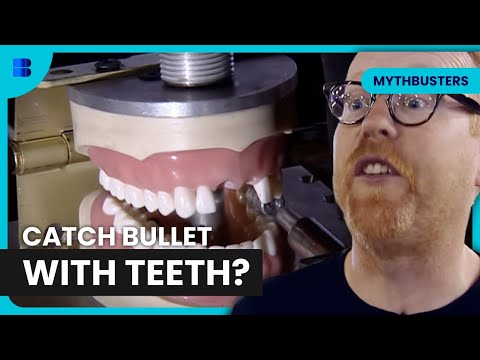 Testing Wild Ideas That Shouldn’t Work | MythBusters | Science Documentary