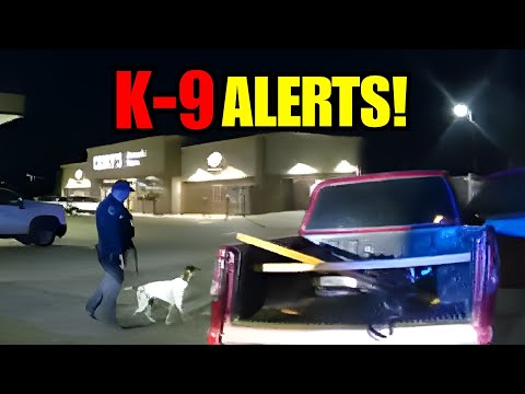 K9’s Nose & Officer's Suspicion Lead to HIDDEN Discoveries