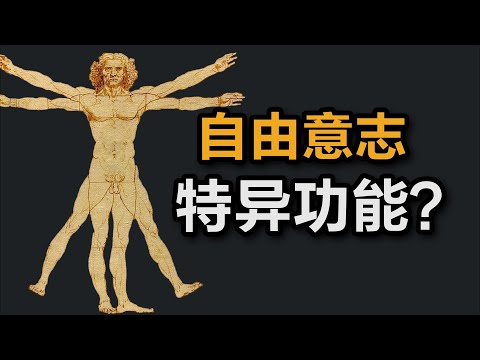 哲学问题:人有自由意志吗?
