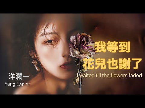 我等到花兒也謝了 #洋瀾一 版 I waited till the flowers faded /唱得不比A-lin差喔! 動態歌詞・Pinyin Lyrics・Eng.Sub.