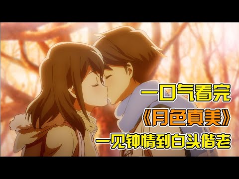 Love at first sight until we grow old together, pure love! The complete collection of "月がきれい"!