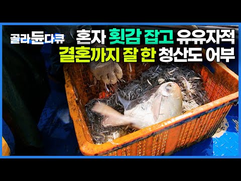 청산도에 팔자 좋은 어부가 산다. 홀로 고기 잡고 돌아오면 반겨주는 사랑스러운 아내와 딸｜멸치잡이｜한국기행｜#골라듄다큐