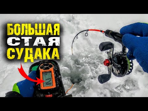 Полно судака, этот раттлин косит судака. Практик 6М подъемы.