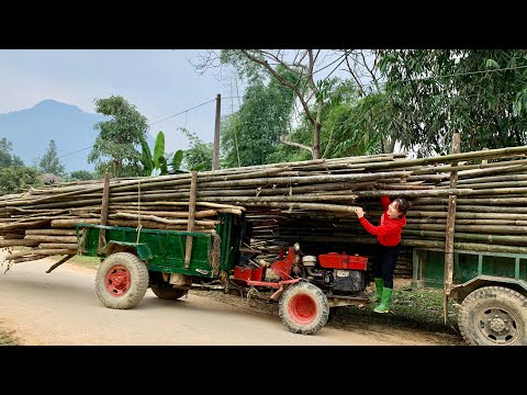 agricultural transport vehicle