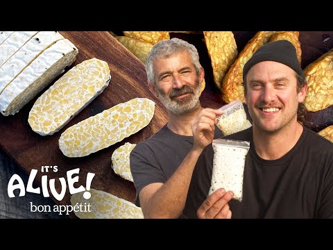 Brad Builds A Fermentation Chamber & Makes Tempeh (ft. Sandor Katz) | It's Alive | Bon Appétit