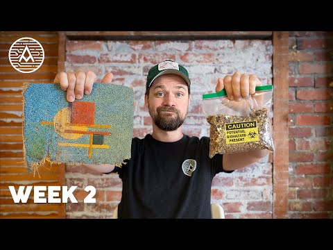 Still finding SURPRISES in this old house