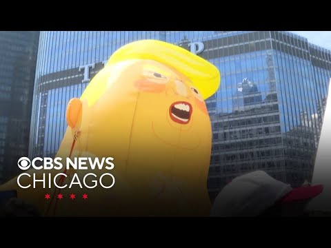 Thousands rally in downtown Chicago "No Kings" protest against Trump