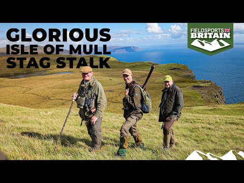 Glorious Isle of Mull stag stalk