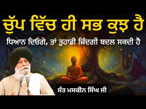 ਚੁੱਪ ਵਿਚ ਹੀ ਸਭ ਕੁਝ ਹੈ ਧਿਆਨ ਦਿਓਗੇ ਜ਼ਿੰਦਗੀ ਬਦਲ ਜਾਵੇਗੀ ||Giani Sant Singh Ji Maskeen Katha