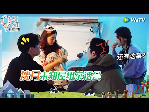 【未知屋纯享】单依纯沈月张新成蛐蛐坞里所有人？王子奇辣评王星越：小子一股迷之自信《五十公里桃花坞 第四季》Wonderland S4 EP5 CLIP