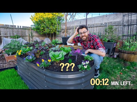 I Tried To Build A New Garden Bed In One Day