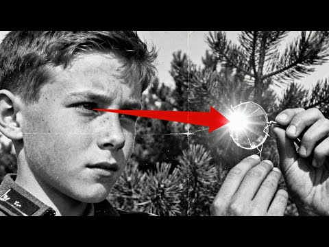 黨衛軍上校：『尋找炸藥殘留』。真相：一個營養不良的孩子用物理學課本上的知識燒毀帝國