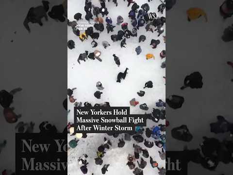 New Yorkers Hold Massive Snowball Fight After Winter Storm