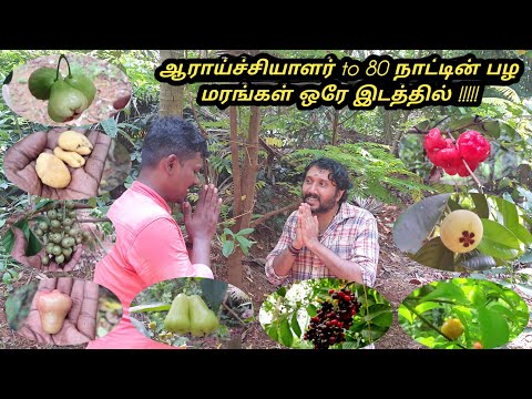 ஆராய்ச்சியாளரின் பழ தோட்டம் #80 நாட்டின் பழங்கள் ஒரே இடத்தில் #65 சென்ட் இடத்தில் ஒரு அமேசான் காடு