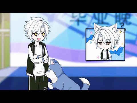 動畫：畢業晚會上，正當你沉醉於舞台上的美女玉腿時，一隻哈士奇突然衝出來咬住你的褲腿。