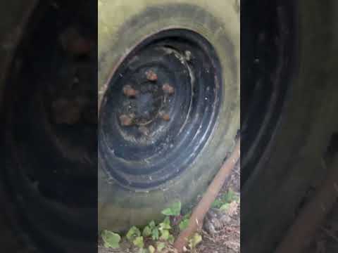 Unimog 406/U900 before restoration. The smoke was too much for me! #unimoglife #unimog