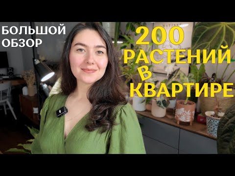 БОЛЬШОЙ обзор КОЛЛЕКЦИИ комнатных растений | однокомнатная КВАРТИРА с 200 растениями🌿