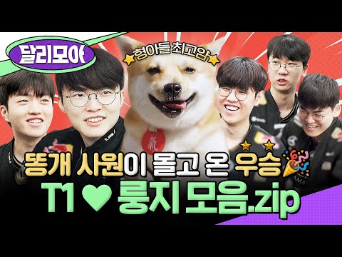 [📁#달리모아] 대상혁과 대룽지의 만남 귀하다...✨ T1의 입사한 똥개 인턴 룽지의 정식 사원이 되기까지.zip #TV동물농장 #페이커 #t1 #룽지 #똥개