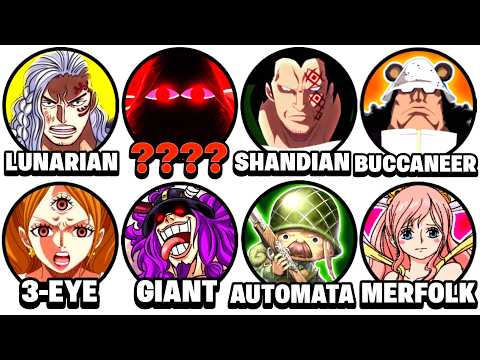 Every Race In One Piece Explained