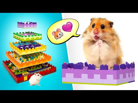 Как сделать самый крутой лабиринт для хомяка || Забавные поделки 🐹🐀