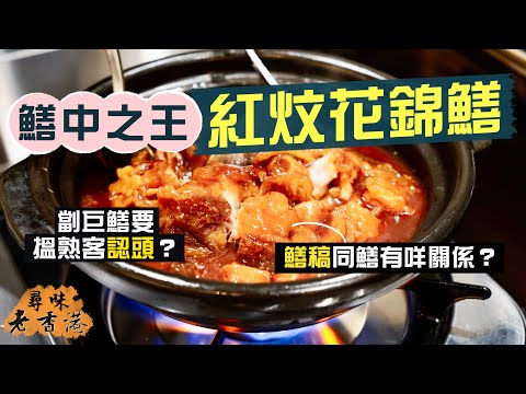 【尋味老香港】可遇不可求！一嚐「鱔中之王」紅炆花錦鱔🤤名菜典故多！劏巨鱔要搵熟客「認頭」、請記者寫「鱔稿」，鱔王有何魅力？｜「七福」班底自立門戶🤩傳統粵菜水準超班｜灣悅．賞．中菜｜Ft. Jfoodo