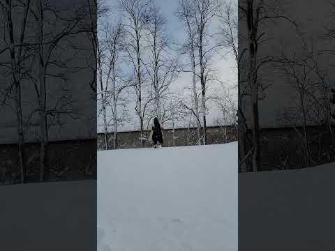 "Patrolling the Mojave almost makes you wish for a Nuclear Winter."  #fallout #ncrranger #skit