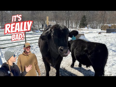 It's the WORST We've EVER Seen!!