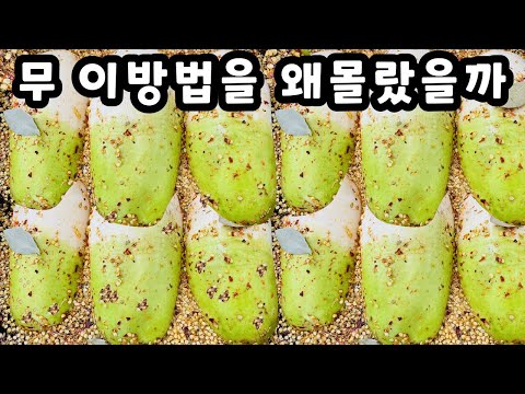 💚무 이걸 왜 몰랐죠 이렇게 맛있다니 놀랍습니다 한통 가득 만들어도 금방 다 먹어버립니다