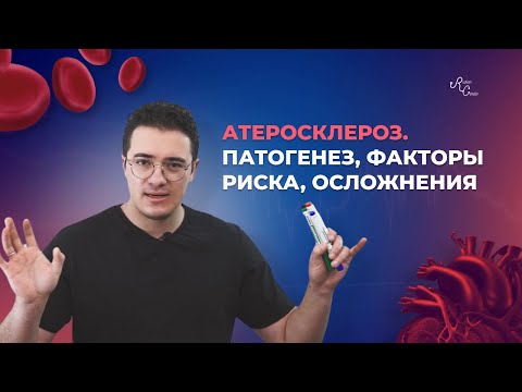 Атеросклероз  Патогенез, факторы риска, осложнения