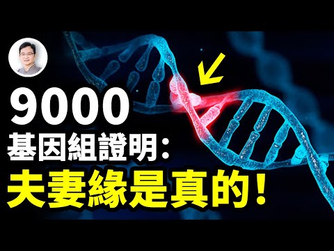 夫妻之緣真是物理存在的！9000人類基因組證明這一點；月老的紅線隱藏在你的基因裡！【文昭思緒飛揚289期】