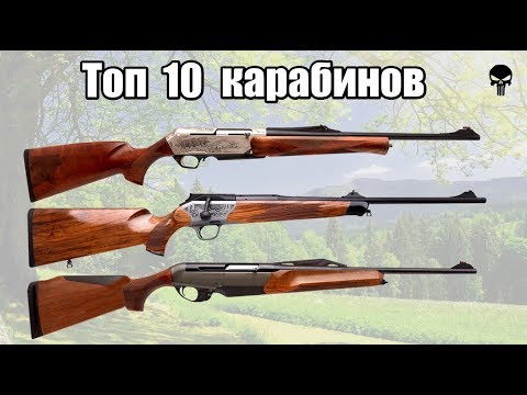 Топ 10 лучших винтовок и карабинов для охоты