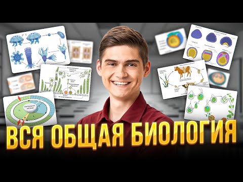 ВСЯ ОБЩАЯ БИОЛОГИЯ за 7 часов. Часть 2 | Марк Ламарк | 100балльный репетитор