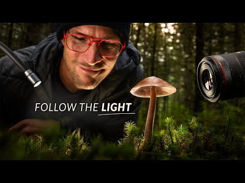 A New Way to Compose Macro Shots with Light