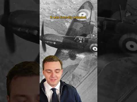 The Spitfire's designer HATED the name! #aviation #history #spitfire