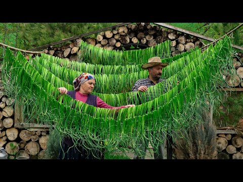 Easy Pickled Garlic Arrows Garlic Scapes for Winter