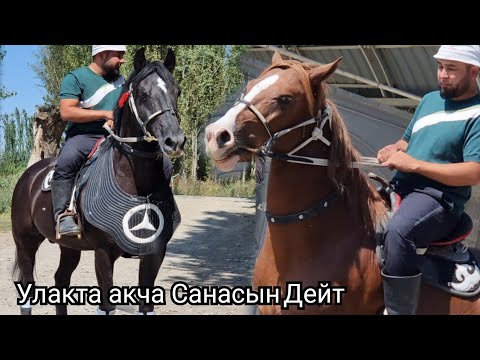 💥 MERCEDES  ИЛХОМдан  Сатууга чыкты Улакта акча Санасын Дейт