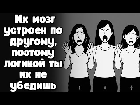 Как устроен женский мозг? Как мыслят и рассуждают современные женщины?