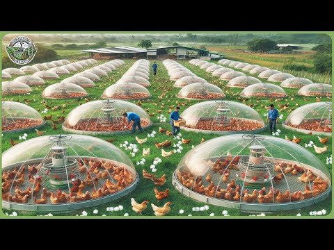 Unbelievable Modern China Farming Technology – How Farmers Reap 1.8 Billion Tons Each Year