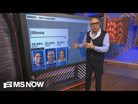 "People are looking for fighters as opposed to folders": Millions of voters participate in Illinois