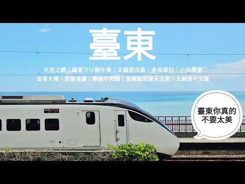 【花東火車二人旅】超美台東海岸線一日自駕療癒行程 | 太麻里日系早餐 | 金崙超美味牛肉麵 epic2