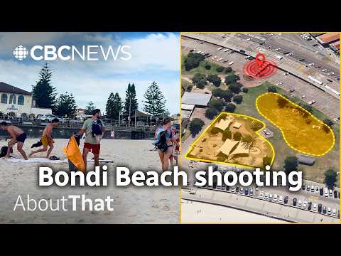 Australia mass shooting: How it happened | About That