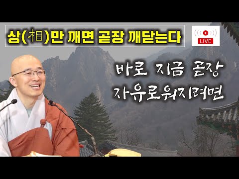 [돈오24] 바로 지금 곧장 자유로워지려면, 상만 깨면 곧장 깨어난다