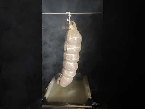 Fermenting and Cold Smoking this incredible Croatian Salami!! #celebratesausage