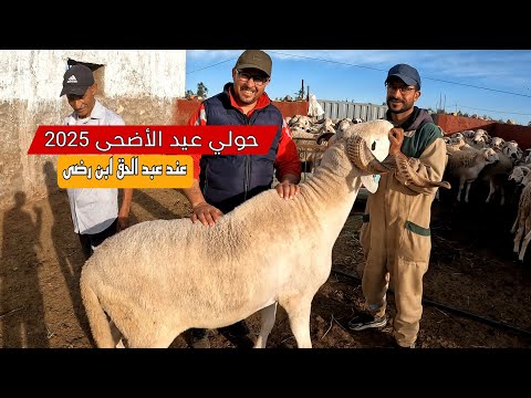 حصريا هذا هو حولي العيد 2025 من ضيعة عبد الحق إبن رضى