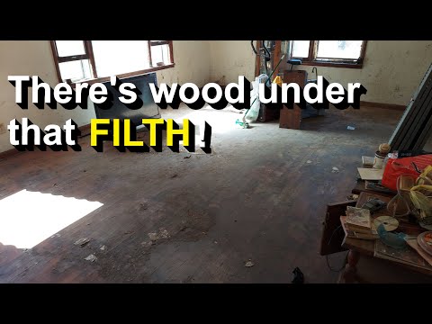 Hoarder Aftermath: Cleaning RUINED hardwood floors