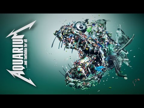 Органика в аквариуме, как избавиться?