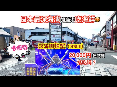 [靜岡～伊豆#4-CC字幕]在日本最深海灣的漁港吃海鮮🥰2萬円吃到蜘蛛蟹🤩抵吃嗎？遊客不多更是興奮🥳 參觀日本唯一的深海水族館😎靜岡自駕遊｜靜岡自由行｜東京自由行｜沼津｜駿河灣｜富士山｜高足蟹